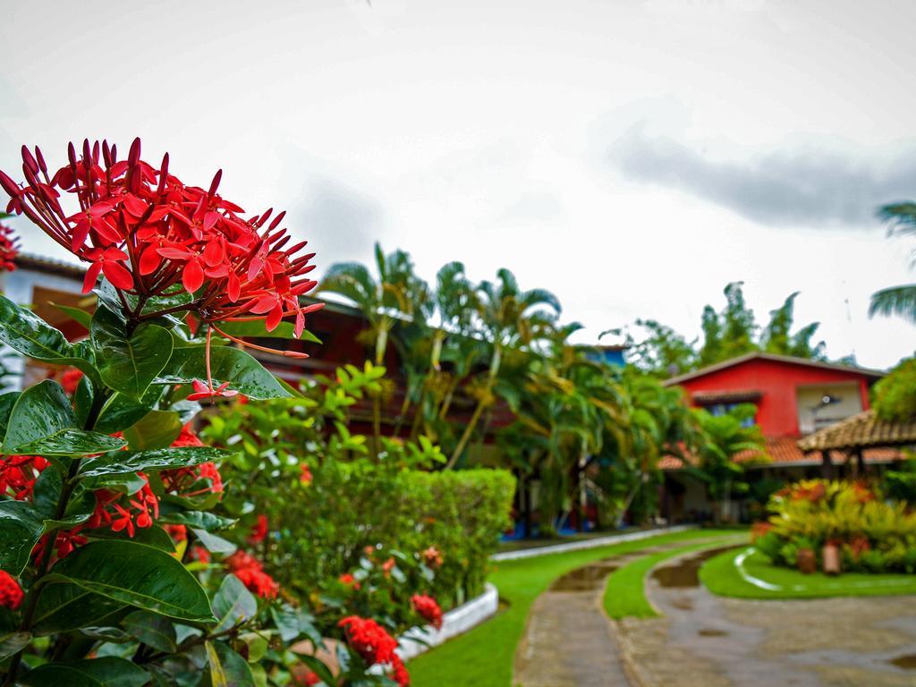 Htl Terra Mar Barra Grande Bed & Breakfast Luaran gambar